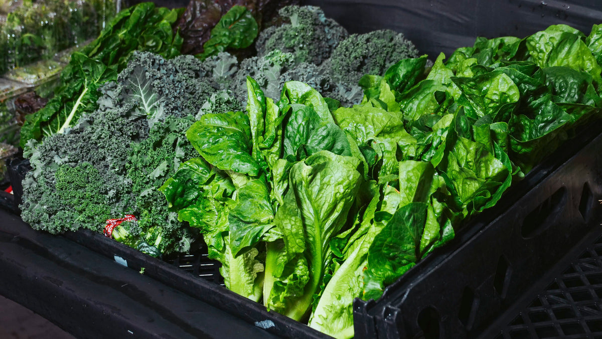 Special Lettuces