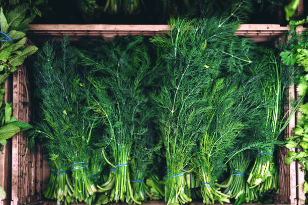 Dill